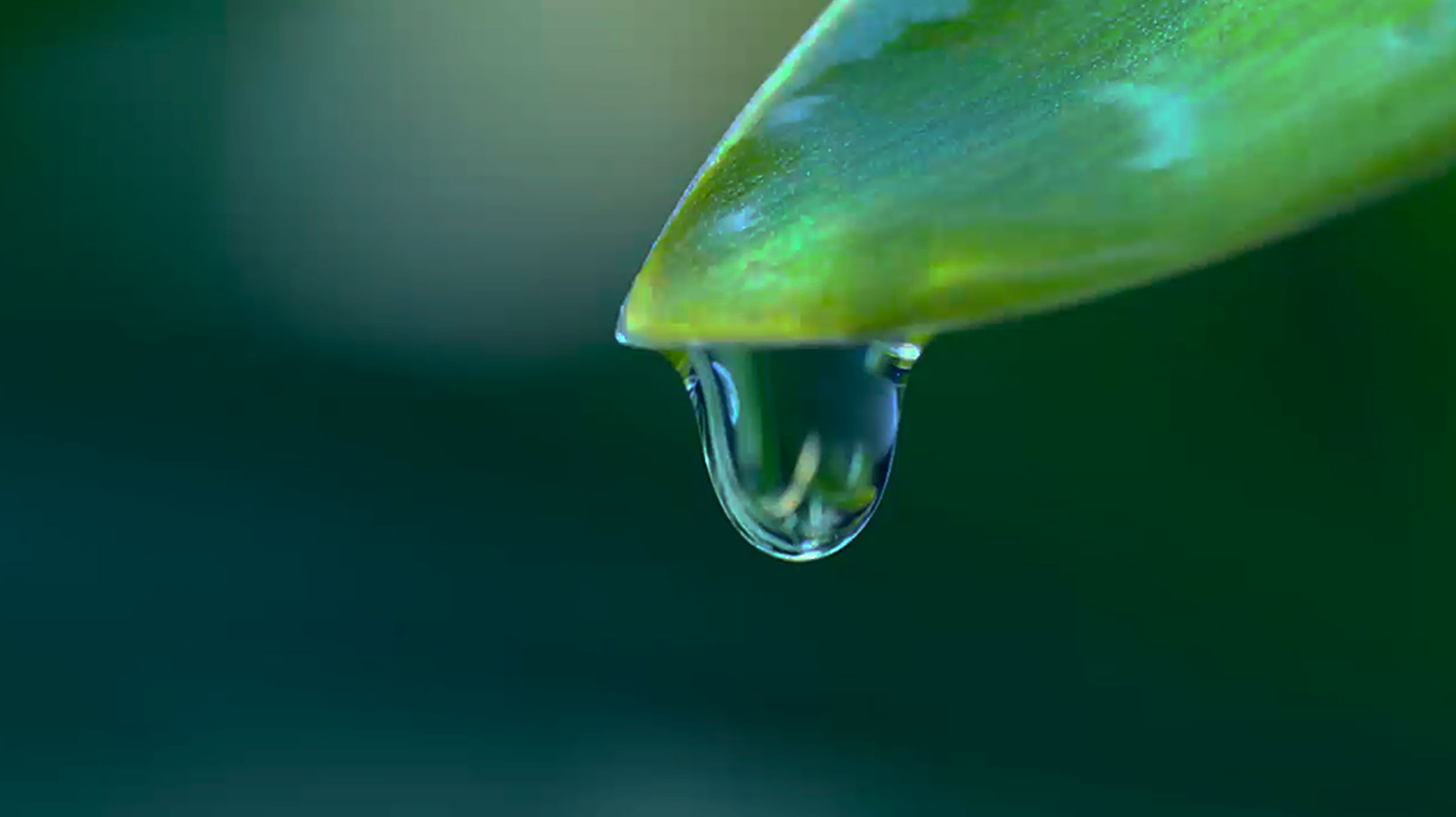 NUESTRO COMPROMISO Origen, Medio Ambiente y Comunidad.