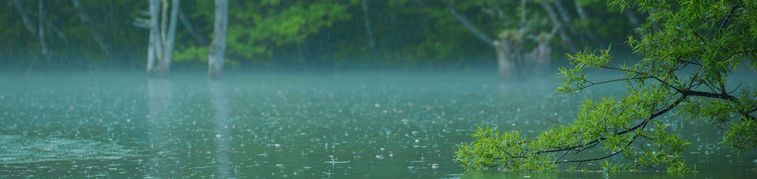lluvias.jpg
