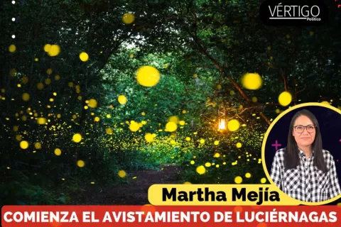 Comienza el avistamiento de luciérnagas