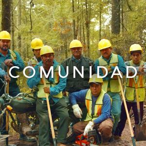comunidad